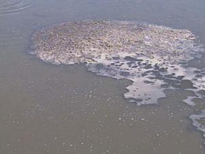 污水處理知識(shí)一千零一問（01）：廢水中污染物的種類有哪些？