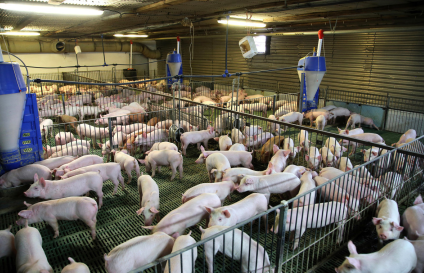 甘肅天水畜禽養(yǎng)殖污水處理案例 甘肅天水畜禽養(yǎng)殖污水處理案例