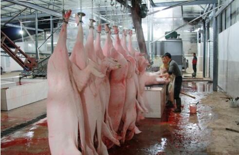 屠宰廢水處理方法有哪些？屠宰廢水處理設(shè)備價(jià)格？-01