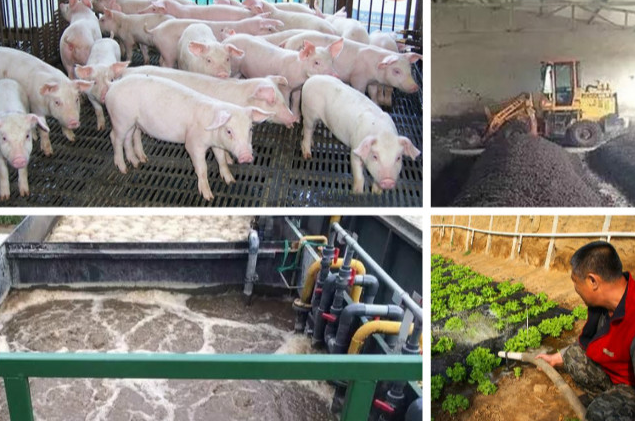 養(yǎng)殖污水處理一體設(shè)備多少錢？養(yǎng)殖污水處理方法