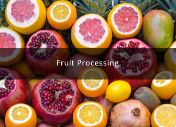 食品廠污水處理新思路，印度食品污水處理經(jīng)驗(yàn)淺析01