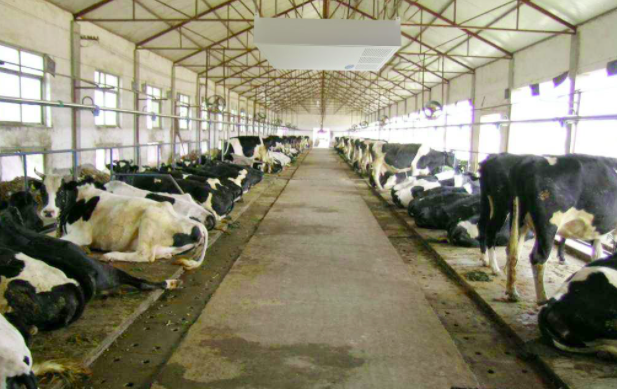 養(yǎng)殖屠宰污水處理設(shè)備使用前，要注意這兩點！01