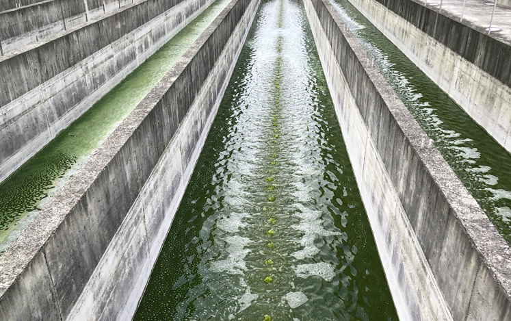 通過(guò)投入使用來(lái)減少?gòu)U水的成本 通過(guò)投入使用來(lái)減少?gòu)U水的成本