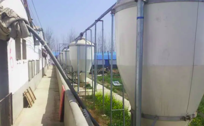 養(yǎng)豬污水處理設(shè)備一套多少錢？掌握這三點(diǎn)幫助你節(jié)約成本