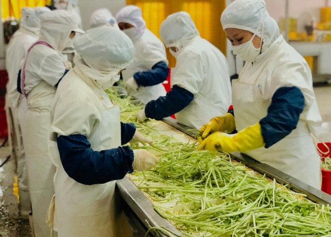 三種食品污水處理設(shè)備工藝流程，看看哪種適合您？